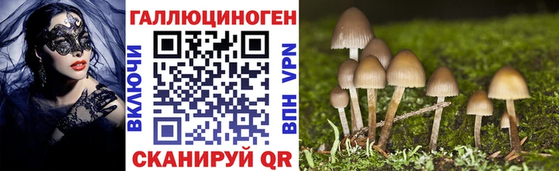 Галлюциногенные грибы мухоморы  Купить  Лыткарино 